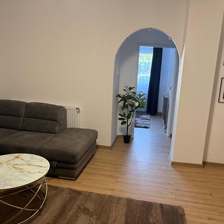 Modernul Apartament De Langa Castel Vajdahunyad Kültér fotó